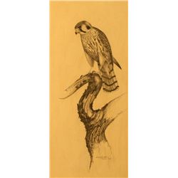 Steve Aller, Graphite on Board,