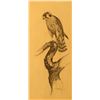 Image 1 : Steve Aller, Graphite on Board,