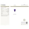 Image 4 : 14KT Two-Tone Gold 9.41ct GIA Certified Tanzanite and Diamond Ring
