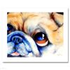 Image 1 : Adorable Pug By Marcia Baldwin