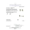 Image 3 : 1.35ctw Diamond Stud Earrings - 14KT White Gold