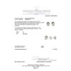 Image 3 : 1.23ctw Diamond Stud Earrings - 14KT White Gold