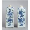 Image 1 : A PAIR OF UNDERGLAZEBLUE KANGXI BOTTLES,, A PAIR OF UNDERGLAZEBLUE KANGXI BOTTLES, porcelain, h...