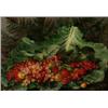 Image 1 : AUGUSTA PLAGEMAN 1799-1888 Vilda bär på kålblad, AUGUSTA PLAGEMAN 1799-1888 Vilda bär på kålbla...