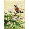 Image 1 : THURE WALLNER 1888-1965 Törnskata vid, THURE WALLNER 1888-1965 Törnskata vid nyponblommor Signe...