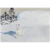Image 1 : BRUNO LILJEFORS 1860-1939 Hare i, BRUNO LILJEFORS 1860-1939 Hare i vinterlandskap Signerad Brun...