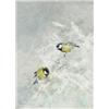 Image 1 : MOSSE STOOPENDAAL 1901-1948 Talgoxar i, MOSSE STOOPENDAAL 1901-1948 Talgoxar i vinterlandskap S...