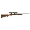 Image 1 : *NEW* Savage 19716 10 Trophy Hunter XP Bolt 243 Win 22" 4+1 w/Scope Walnut Stk Blk 011356197160