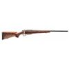 Image 1 : *NEW* TIKKA T3 HUNTER .260 REMINGTON 22.5" BLUED WALNUT 082442604534