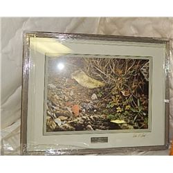 FRAMED LIMITED EDITION PRINT - TERRITORIAL DISPUTE - WRENS - ALAN HUNT - PLUS!!!! SIGNED ON GLASS - 