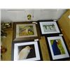 Image 1 : Framed Bird Photos - 5 Times the Money