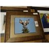Image 2 : Framed Bird Photos - 5 Times the Money