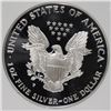 Image 3 : 1996-P AMERICAN SILVER EAGLE PCI GRADED PERFECT PROOF DCAM