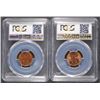 Image 2 : 1955 & 1956 LINCOLN CENTS PCGS MS66 RD
