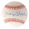 Image 1 : Mickey Mantle