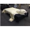 Image 1 : MASSIVE POLAR BEAR (URSUS MARITIMUS) RUG, 9' LONG X 8' 4'' WIDE