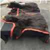 Image 2 : NORTH AMERICAN BLACK BEAR FULL BODY RUG, 6'' L X 5' 10'' W