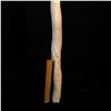 Image 2 : NARWHAL TUSK, 52'' LONG