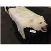 Image 2 : POLAR BEAR (URSUS MARITIMUS) FULL BODY RUG, 78'' LONG