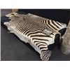 Image 2 : AFRICAN PLAINS ZEBRA (EQUUS ZEBRA HARTMANNAE) FULL BODY HIDE, 9' L X 90'' W