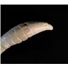 Image 2 : CARVED SPERM WHALE TOOTH DEPICTING A HAND HOLDING A RAVEN, 6'' H