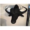 Image 2 : AFRICAN CAPE BUFFALO (SYNCERUS CAFFER), HEAD AND HORNS WALL MOUNT, 41'' LONG