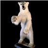 Image 1 : ARCTIC POLAR BEAR (URSUS MARITIMUS) 74" TALL STANDING  FULL BODY MOUNT