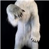 Image 2 : ARCTIC POLAR BEAR (URSUS MARITIMUS) 74" TALL STANDING  FULL BODY MOUNT