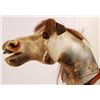 Image 7 : Antique Rocking Horse