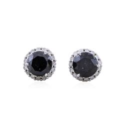 14KT White Gold 3.13ctw Fancy Black Diamond Stud Earrings