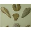 Image 5 : Arrowheads and Pestles