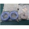 Image 2 : Lot of Misc Gears