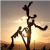 Image 2 : Monkey Tree by Olivier Pojzman