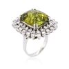Image 3 : 14KT White Gold 15.42ct Tourmaline and Diamond Ring