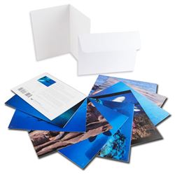 10 PK of Assorted Wyland PHOTO Notecards by Wyland