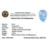 Image 2 : 6.52ctw Pear Aquamarine Parcel