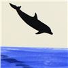 Image 1 : Original Dolphin by Wyland