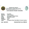 Image 2 : 15.09ctw Cabochon Paraiba Tourmaline Parcel