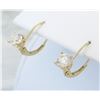 Image 5 : 1.00ctw Diamond Earrings - 14KT Yellow Gold