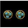 Image 1 : 14KT Yellow Gold Turquoise Earrings