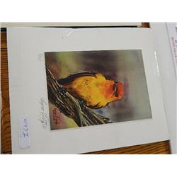 PRINTS BY EUGEN PENTZ