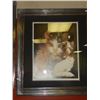 Image 1 : FRAMED LIMITED EDITION PRINT - NINE LIVES - CHARLIE - GALLERY ESTIMATE - $625