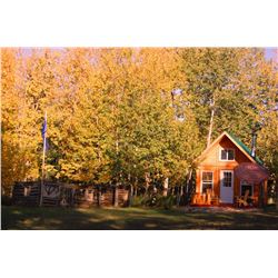 12' x 16' Knotty Pine Cabin Package