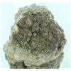 Image 1 : 2025ct Coprolite Dinosaur Doo Crystal Cluster