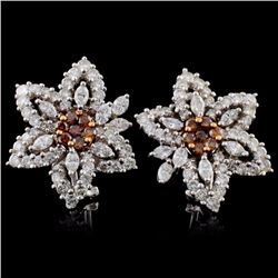 18K White Gold 5.54ctw Fancy Color Diamond Earring