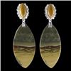 Image 1 : Natural Stone Diamond Polished Earings
