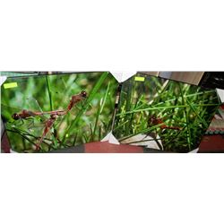 24" X 30" DRAGON FLY WALL PLAQUE X2