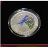 Image 1 : 2011 COLOURED RCM ISSUED BARN SWALLOW 25 CENT COIN