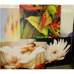 COLLECTION OF 5  ASSORTED CANVAS ART PICTURES