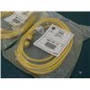 Image 2 : Allen-Bradley 4 Pin Mini Straight Female Plug, 12'